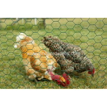 Hexagonal Chicken Wire mesh